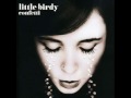 Little Birdy - Everyone Is Sleeping