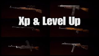Call Of Duty Vanguard  Xp Darme U0026 Level Up Rang Max