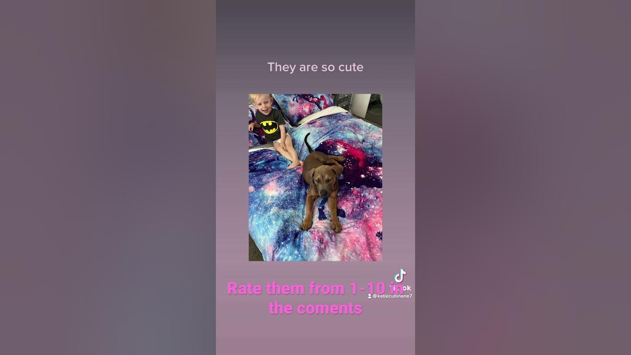 this-is-my-old-dog-dior-and-my-brother-i-m-so-sad-we-had-to-give-her