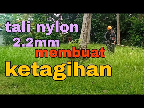 Video: Bolehkah anda memotong rumput dengan rumpai wacker?