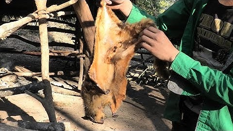 Mu yov hav zoov  cuab qaib  rau lub qub zog phu vieng