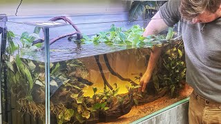 NEW AFRICAN THEMED AQUASCAPES BY TAI STRIETMAN