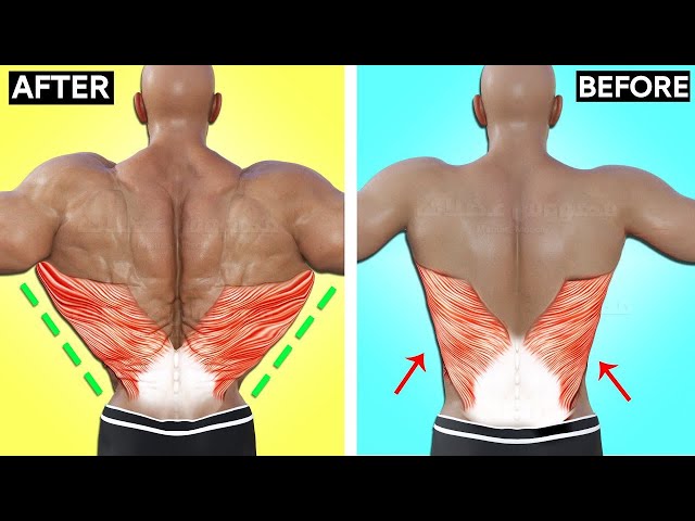 7 Best Exercise To Lower Lats workout (V-TAPER) 