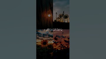 سورة الرحمان #القرآن_الكريم #اكسبلور #quran #راحة_نفسية #allah #fypage