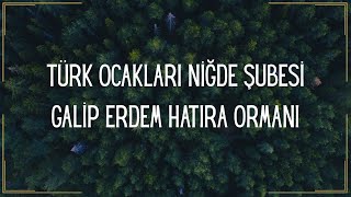 100. Yıl Galip Erdem Hatıra Ormanı