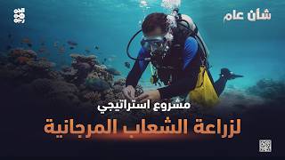 شأن عام | المقاومة الوطنية تعيد الاعتبار للجرحى وتفضح "وهم" التصنيع الحوثي