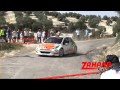 PEUGEOT 207 S.2000  PILOTO DE RALLY´S DAVID PEREZ CAMPEON DE ANDALUCIA TEMPORADA 2012