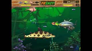 Feeding Frenzy 2 Level 33 Minnows And Mayfiles