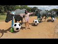 30 Days Vlog Challenge | Day 3: FIFA World Cup 2026 vibes ⚽️