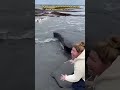 Nature turn in to danger #naturelovers#puppylove#sea#lifelessons#fyp#shorts#fypシ#fypシ゚viral