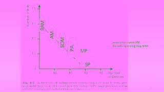 Module 5 Parallel Processing Net Worth