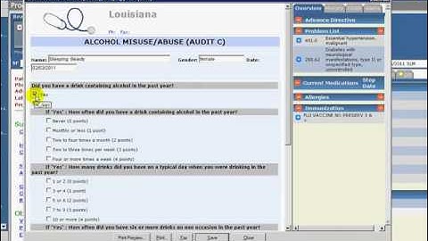 Section 1A: Clinical Decision Support System (CDSS)
