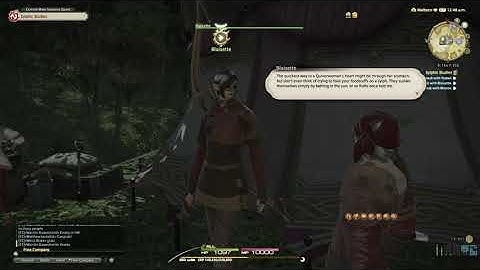 FFXIV - Sylphic Studies