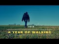2019 - A Great Year of Walking (4K)
