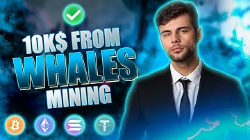 WhalesMining full Review 2023 | Best Earning Platform