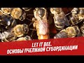 Let It Bee. Основы пчелиной субординации - Хочу всё знать