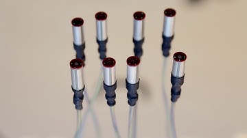 Taipan Starbugs in motion