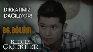 Kırgın Çiçekler Ve Güney Lysye Hazırlanıyor - Kırgın Çiçekler 86Bölüm