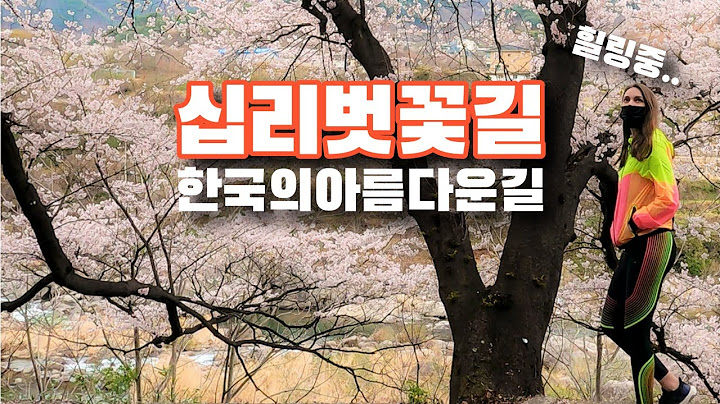 유럽여자, 한국에서 벚꽃 만개한 풍경을 보고, 일본 벗꽃과의 차이점을 발견하는데...   벚꽃 아래에서 녹차마시는 힐링..