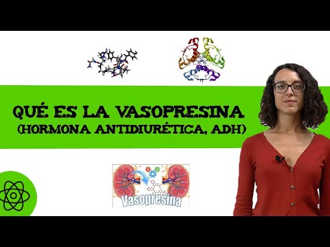 Vídeo: La vasopressina és una hormona antidiürètica?
