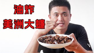 狠活：连吃100 只蟑螂，是怎样一种体验？