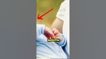 Wolf Finds a Baby in Car Accident, The UNTHINKABLE Happens