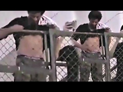Shahrukh Khan Flaunts Her Abs videos for cats