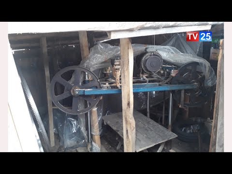 ხე-ტყის უკანონო მოპოვებისა და ტრანსპორტირების 420 ფაქტი