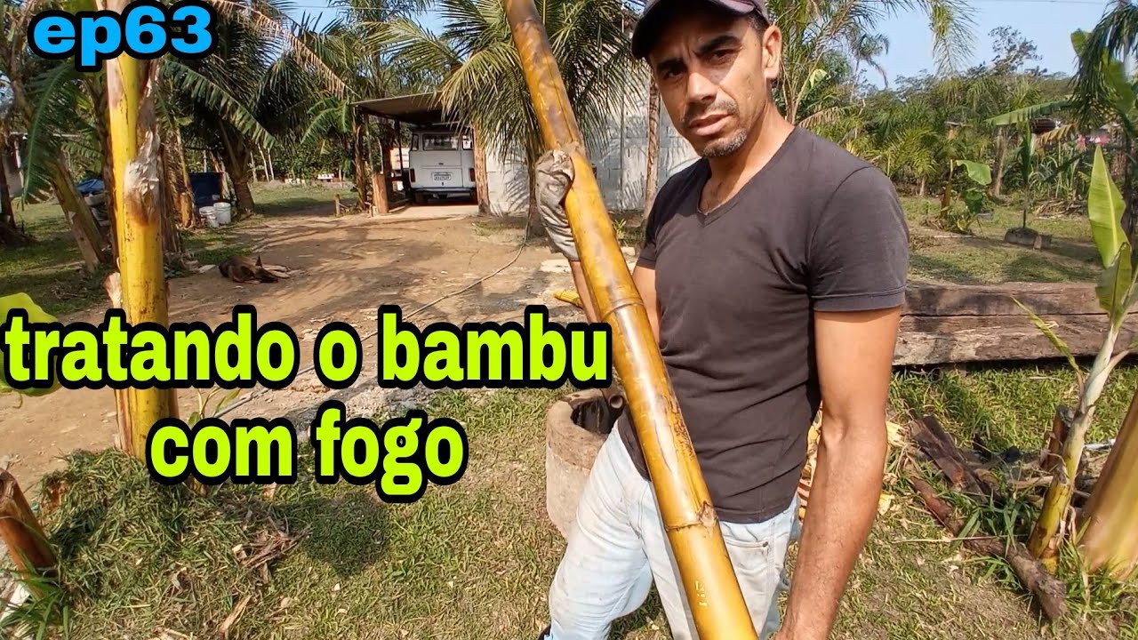 ep 63 Como fazer o tratamento do bambu  a fogo.