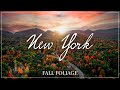 Fall Foliage in Upstate New York | Autumn Travel Film