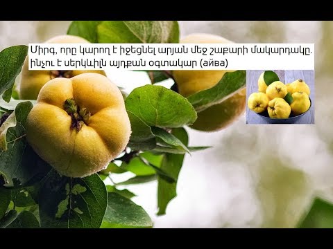 Video: Ինչու է խուրմա ուտելը օգտակար է