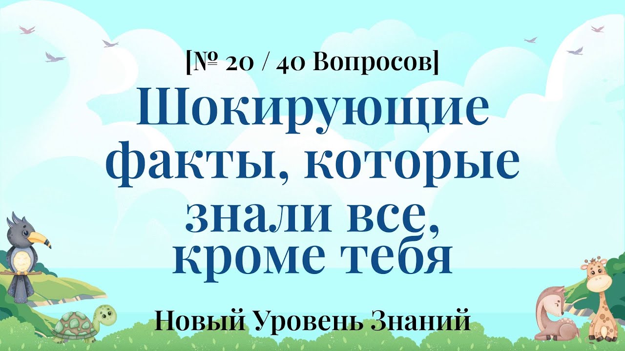 Осторожно за едой: можно поперхнуться от смеха - Викторина по Общим Знаниям Часть 20