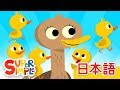 ５わのアヒル「Five Little Ducks」 | こどものうた | Super Simple 日本語