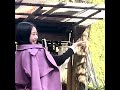 手乗り初体験!#久万高原 #小鳥 #手乗り