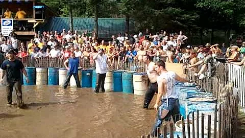 Pig wrestling 2011