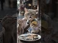 Watch this virtual feline feast like never before #AIart #FoodLover #Shorts