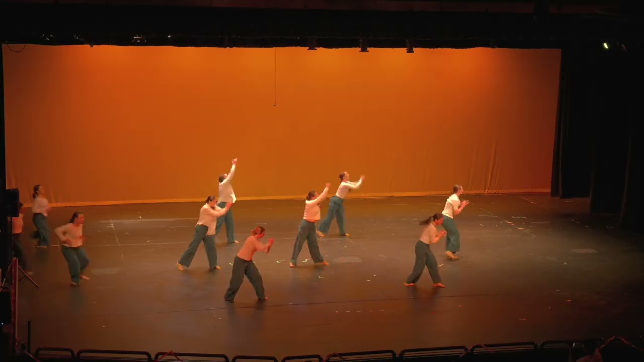 Human (Dance For a Cause) - Vision Dance Troupe