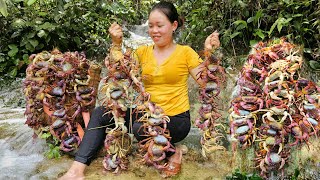 Harvesting Crabs After Summer Rain Goes To Market Sell - Cook delicious Steamed Crabs | King crab