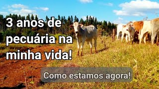 Completando 3 anos na pecuária... Como estou hoje, depois de trocar meus PASSIVOS em ATIVOS?