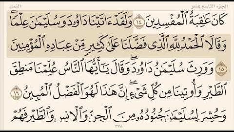 سورة النمل (الجزء التاسع عشر) بصوت القارئ اسلام صبحي