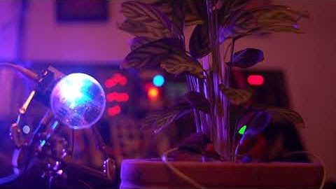 Scary Sci-Fi Ambient Never Never Plant - Plant Based Music / Biodata Sonification