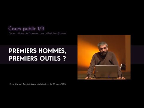Vidéo: De Quoi Parlent Les Hominoïdes? - Vue Alternative