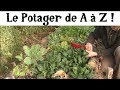 Le Potager de A à Z -10- (légumes qui se ressèment)