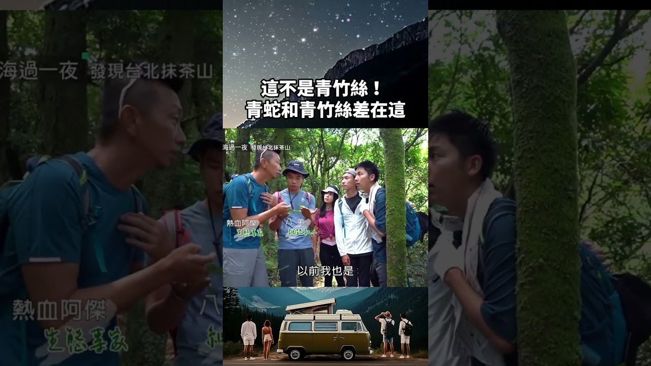 這不是青竹絲!辨認青蛇和青竹絲看頭部形狀就可以|上山下海過一夜#shorts 縮圖