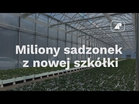 Wideo: Nowolizyński Szkółka Owoców I Jagód Oraz Roślin Ozdobnych