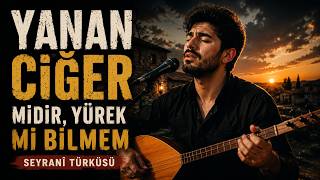 Yanan Ciğer Midir, Yürek Mi Bilmem Seyranî Türküsü Hüseyni Makam Duygusal Anadolu Türküsü