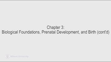 Developmental Psychology - Lecture 06 (PSYC 240)