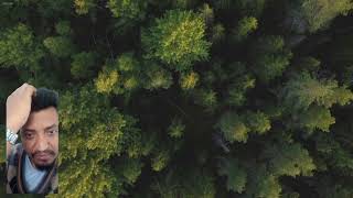 Dear God  Song By David Bennett wubshetgetahunpho  