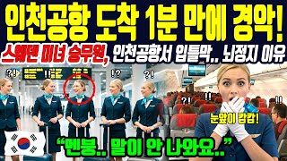 [해외감동사연] 이게 진짜 한국입니다! 1년차 신입승무원이 눈물 흘린 한국 승객들의 믿을 수 없는 행동!