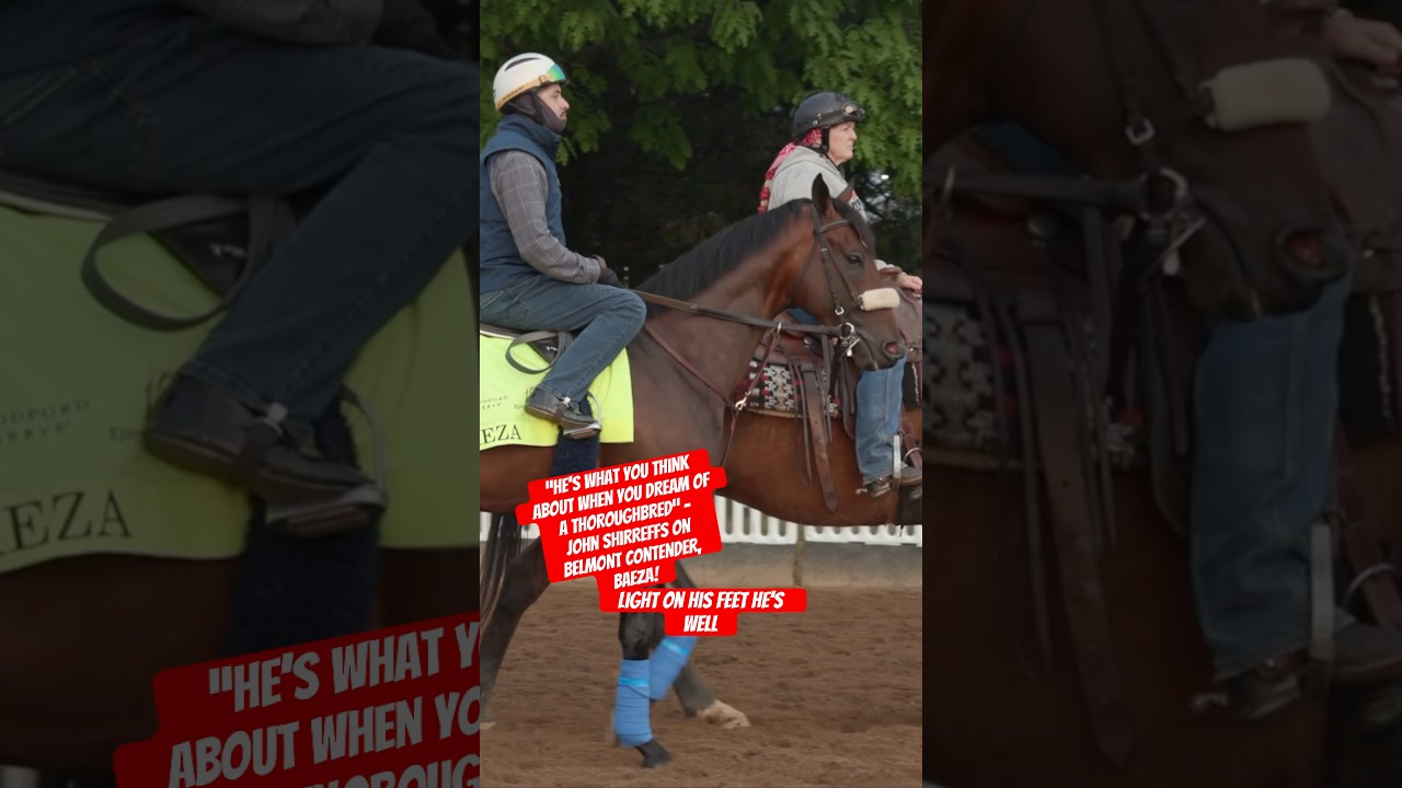 Belmont Stakes contender BAEZA gets a glowing report from his trainer John Shirreffs 🤩